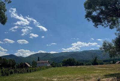 Teren Construcții intravilan de 2000 mp, în Sadu - 10