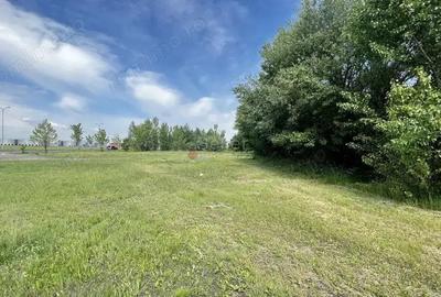 Teren de 13566 mp, în Bartolomeu - 8