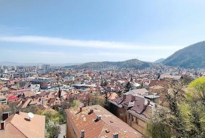 Priveliste Panoramica Spre Oras Si Masivul Tampa - 3