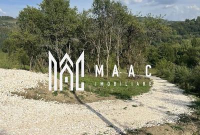 Teren Construcții intravilan de 14242 mp, în Sohodol - 5