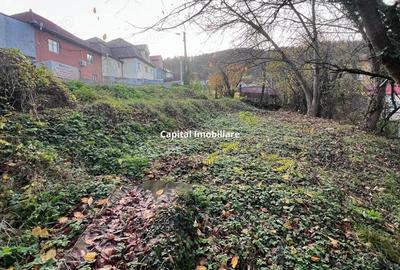 Teren intravilan 1001 mp in Re?i?a, aproape de centru - 2