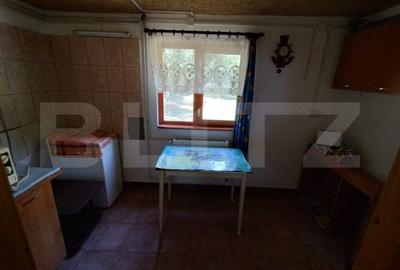 Cabana 4 camere Lunca Bradului - 11