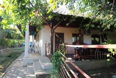 Casa La Tara  - 2700MP - Tichilesti Constanta - Vita De Vie - Pomi Fructiferi - 2