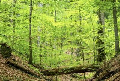 Spațiu comercial, în Central - 3