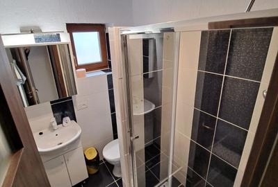 DUPLEX  P+Mla vânzare Dumbravita - 19