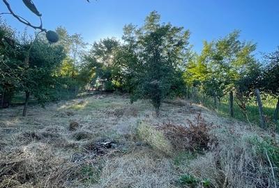 Casă individuală cu 3 camere cu Canalizare în Moara Domnească - 3