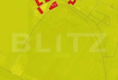 Teren de 21450 mp, în Turda - 4