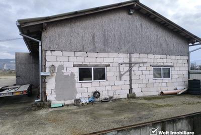 Oportunitate investitie- teren industrial, cu constructii diverse - Gherla - 12