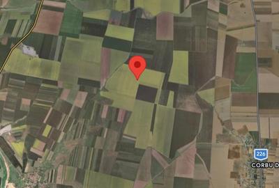 Teren agricol extravilan de 4150 mp, în Corbu - 1