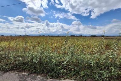 Teren extravilan 15000mp drum asfaltat zona Selimbar Teren extravilan 15000mp drum asfaltat zona Selimbar - 2