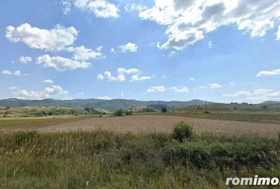 Cota 1/4 teren extravilan Dalboset, jud. Caras Severin - termen 14.08 - 3