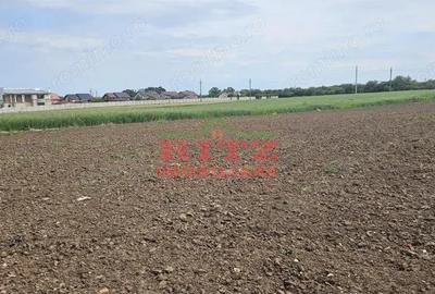 Nou! Teren intravilan S= 4998 mp! - 1