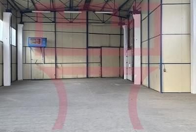 Hala  industriala cu rampa 310mp si 5.3ml H - 6