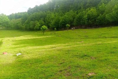 Teren de 5500 mp, în Drăganu - 1