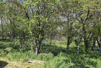 Teren agricol intravilan de 2050 mp, în Valea Măcrișului - 12