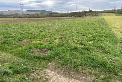 Spațiu comercial, în Peștișu Mare - 5