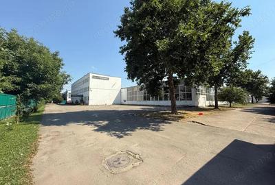 Inchiriere complex industrial multifunc?ional pozi?ie strategica, Targu Jiu - 3