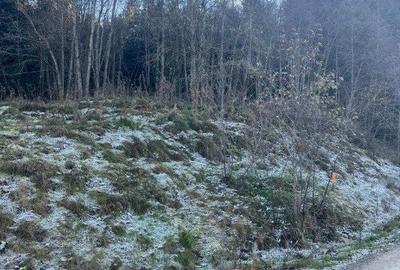 Spațiu comercial, în Mănăstirea Humorului - 2