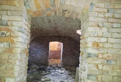 Vand Casa-Conac in Zgribesti -Timis - 8