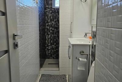 Apartament cu 3 camere semidecomandat în Nufărul - 3