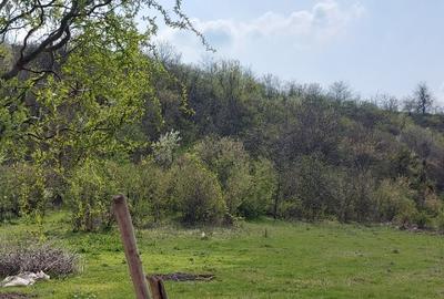 Teren intravilan 3109mp - 9