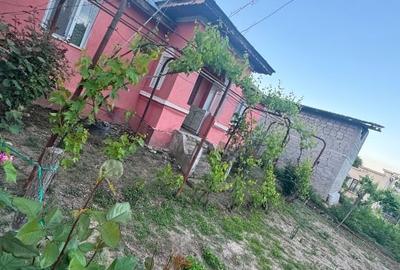 Casa cu teren comuna Calopar Sat Dalga - 9