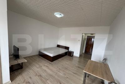 Garsonieră în Brazda lui Novac - 4
