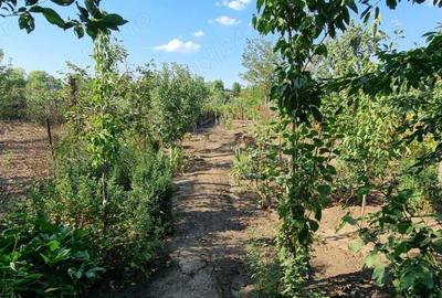 Casa de vanzare - Caracal - jud. Olt - 10