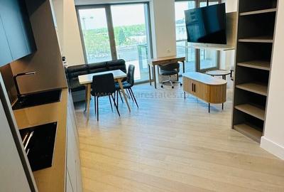 Garsonieră decomandată, mobilată în Iancu Nicolae - 10