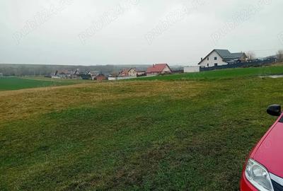 Teren Almas inrtavilan 452mp ingradit pentru casa , cabana , sau rulota - 1