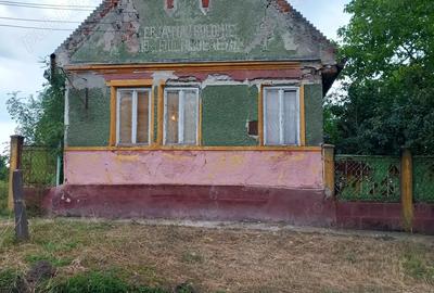 Vamd casa cu gradina - 3