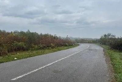 Teren extravilan Bacesti, ID: R2822108 - 7