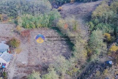 Teren de vanzare 11.766 mp – Costisa, judetul Neamt - 11