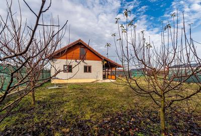 Casa individuala in Doroban?i 21 km de Arad - 6