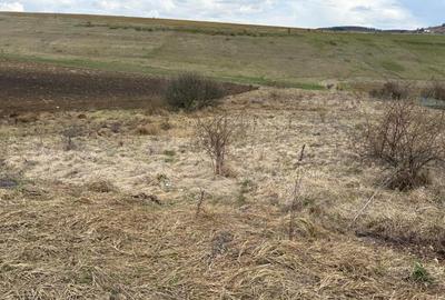Teren pentru constructie casa in Salicea - 2