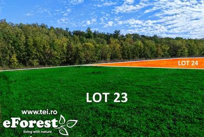 Teren de 720 mp, în Crevedia - 2