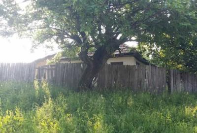 Casă cu 2 camere în Pișteștii din Deal - 3