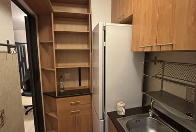 Garsonieră decomandată în Basarabia - 2