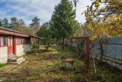 SNAGOV – CENTRAL, CASA 144 MP, LOT 1000 MP! - 22