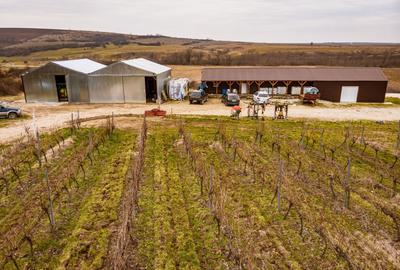 Teren agricol extravilan de 1150000 mp, în Dud - 2