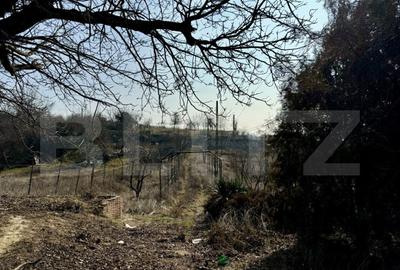 Conac cu teren intravilan 8759 mp, priveliste panoramica, Ci - 14