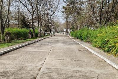 Ferma Hermes Slobozia - 8