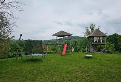 Teren de 5000 mp, în Cărbunari - 5