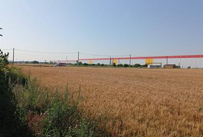 Teren de vânzare – Dragomirești Deal | 20.400 mp | Deschidere 59 ml - 1