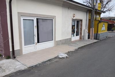 Mangalia sp comercial - 3