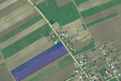 Teren de 2000 mp, în Tăcuta - 1