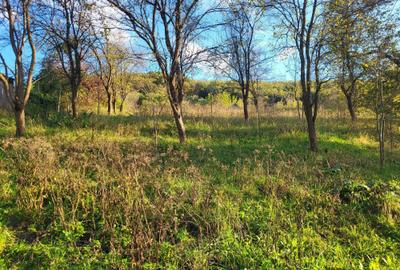 Spațiu comercial, în Deleni - 2