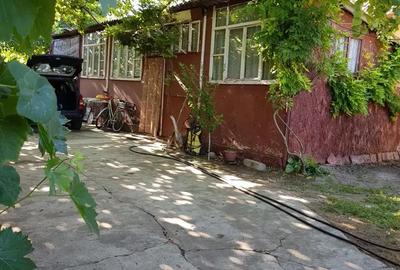 Casă cu 3 camere cu Teren 1400 Mp în Șicula - 4