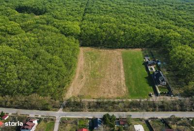 Spațiu comercial, în Șanțu-Florești