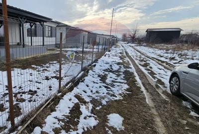 Teren Construcții intravilan de 750 mp, în Domnești - 4